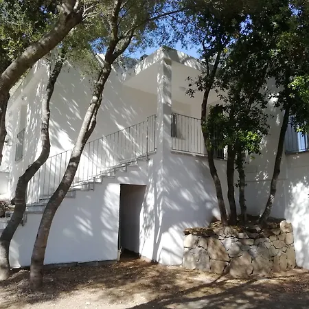 Guest house In Campagna Da Nino 3*