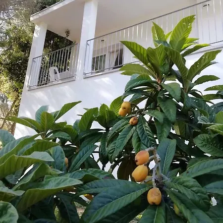 In Campagna Da Nino Gæstehus Olbia