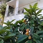 In Campagna Da Nino