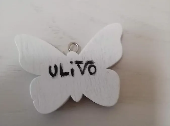 In Campagna Da Nino Ольбия